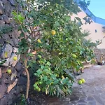 Nyaraló El Edén
